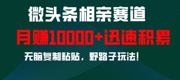 微头条相亲赛道，迅速积累，无脑复制粘贴，野路子玩法，月入1w-泱泱学习社