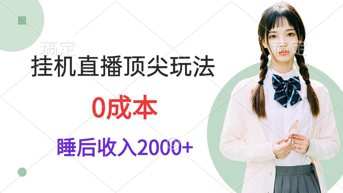(9715期)挂机直播顶尖玩法，睡后日收入2000+、0成本，视频教学-泱泱学习社