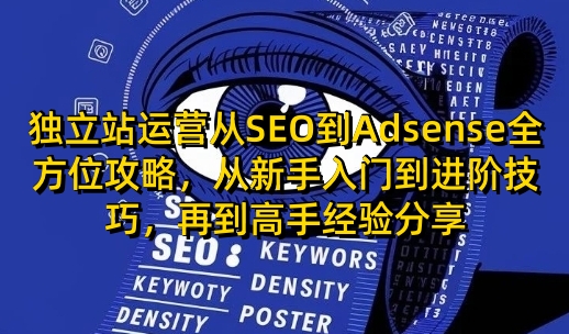 独立站运营从SEO到Adsense全方位攻略，从新手入门到进阶技巧，再到高手经验分享-泱泱学习社
