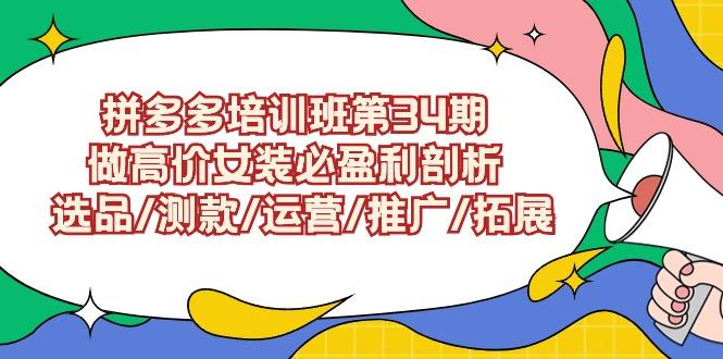 (9333期)拼多多培训班第34期：做高价女装必盈利剖析  选品/测款/运营/推广/拓展-泱泱学习社
