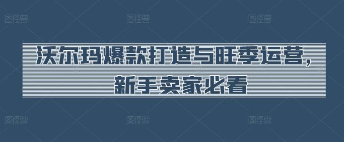沃尔玛爆款打造与旺季运营，新手卖家必看-泱泱学习社