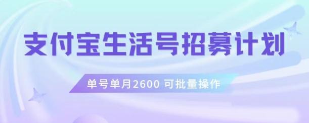 支付宝生活号作者招募计划，单号单月2600，可批量去做，工作室一人一个月轻松1w+【揭秘】-泱泱学习社