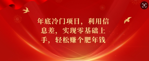 年底冷门项目，利用信息差，实现零基础上手，轻松赚个肥年钱【揭秘】-泱泱学习社