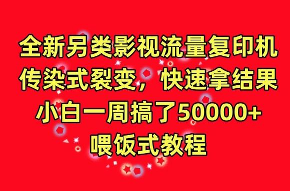 全新另类影视流量复印机，传染式裂变，快速拿结果，小白一周搞了50000+，喂饭式教程【揭秘】-泱泱学习社