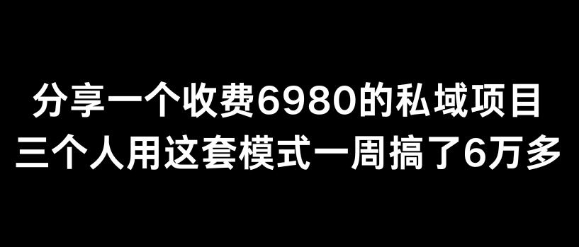 分享一个外面卖6980的私域项目三个人用这套模式一周搞了6万多【揭秘】-泱泱学习社