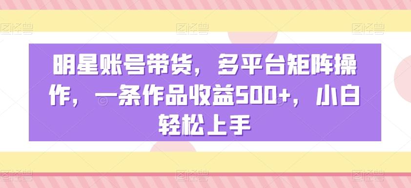 明星账号带货，多平台矩阵操作，一条作品收益500+，小白轻松上手【揭秘】-泱泱学习社