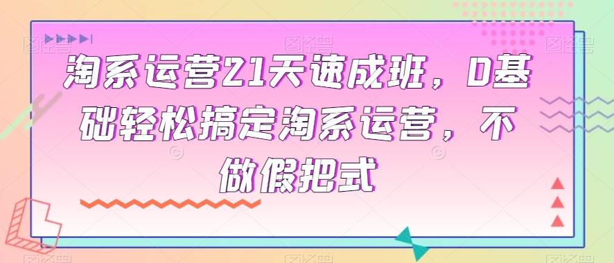 淘系运营21天速成班，0基础轻松搞定淘系运营，不做假把式-泱泱学习社