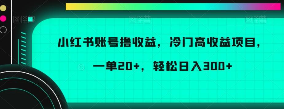 小红书账号撸收益，冷门高收益项目，一单20+，轻松日入300+【揭秘】-泱泱学习社