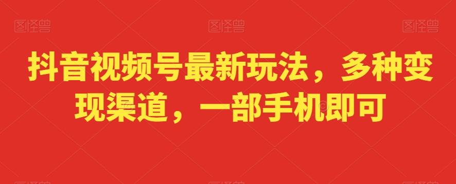 抖音视频号最新玩法，多种变现渠道，一部手机即可-泱泱学习社