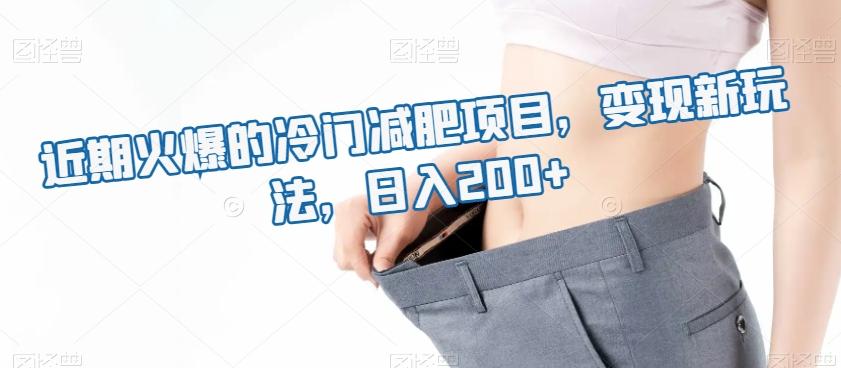 近期火爆的冷门减肥项目，变现新玩法，日入200+-泱泱学习社