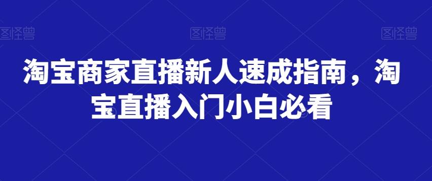 淘宝商家直播新人速成指南，淘宝直播入门小白必看-泱泱学习社
