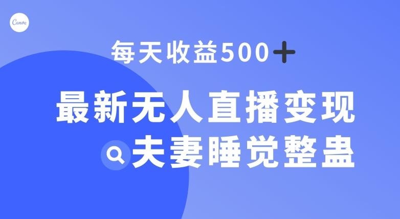 最新无人直播变现，夫妻睡觉整蛊，每天躺赚500+【揭秘】-泱泱学习社