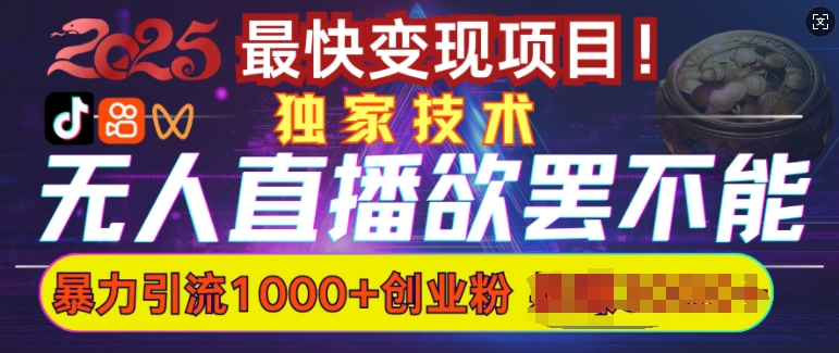欲罢不能的无人直播引流，超暴力日引流1000+高质量精准创业粉-泱泱学习社