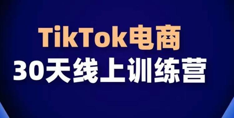 TikTok电商带货30天线上课，不可错过的全球流量洼地！-泱泱学习社