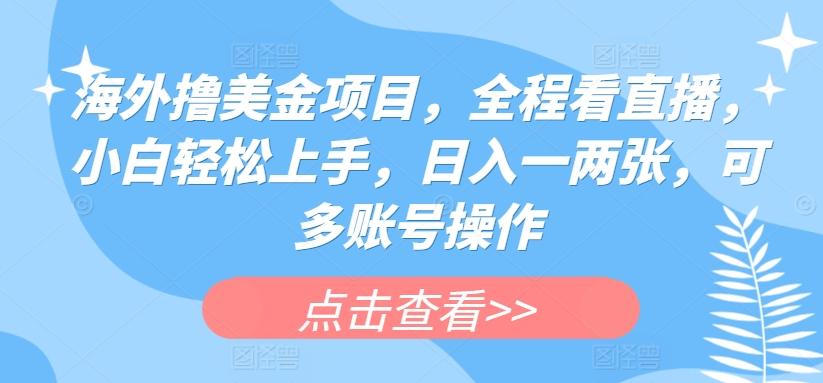 海外撸美金项目，全程看直播，小白轻松上手，日入一两张，可多账号操作【揭秘】-泱泱学习社