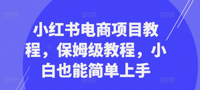 小红书电商项目教程，保姆级教程，小白也能简单上手-泱泱学习社