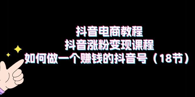 抖音电商教程：抖音涨粉变现课程：如何做一个赚钱的抖音号(18节-泱泱学习社