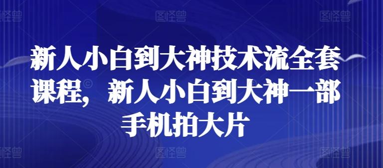 新人小白到大神技术流全套课程，新人小白到大神一部手机拍大片-泱泱学习社