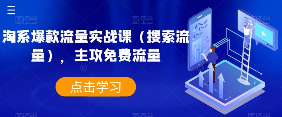 淘系爆款流量实战课（搜索流量），主攻免费流量-泱泱学习社