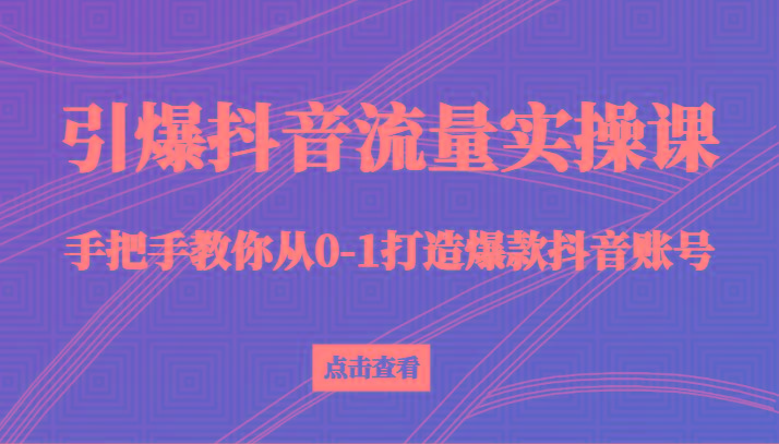 引爆抖音流量实操课，手把手教你从0-1打造爆款抖音账号(27节课)-泱泱学习社