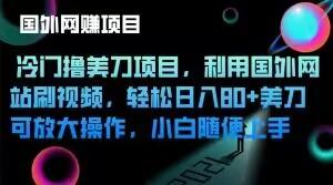 冷门撸美刀项目，利用国外网站刷视频，轻松日入80+美刀，可放大操作，小白随便上手-泱泱学习社