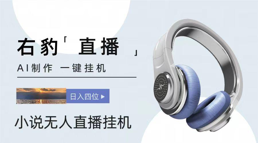右豹小说无人直播挂机吸金项目，简单易行收益稳定， 月入1000+-泱泱学习社