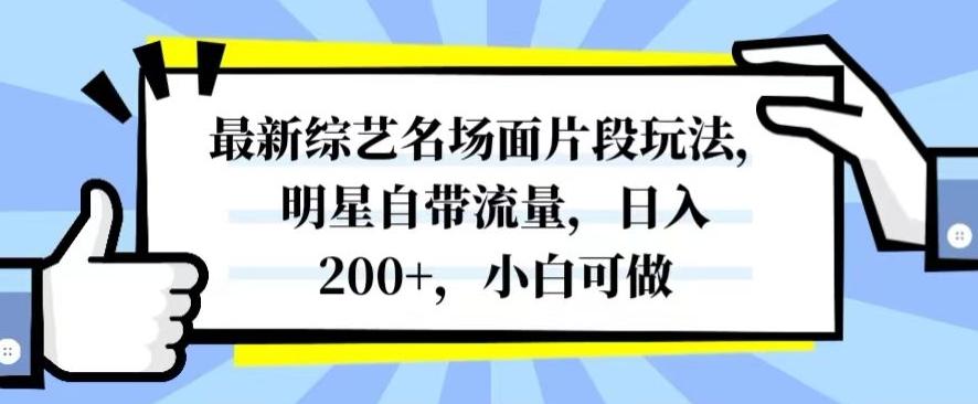 最新综艺名场面片段玩法，明星自带流量，日入200+，小白可做【揭秘】-泱泱学习社