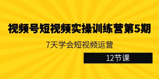 视频号短视频实操训练营第5期：7天学会短视频运营(12节课)-泱泱学习社