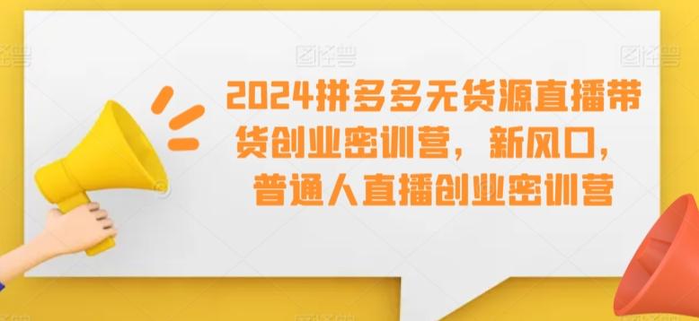 2024拼多多无货源直播带货创业密训营，新风口，普通人直播创业密训营-泱泱学习社