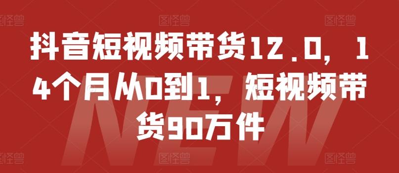 抖音短视频带货12.0，14个月从0到1，短视频带货90万件-泱泱学习社