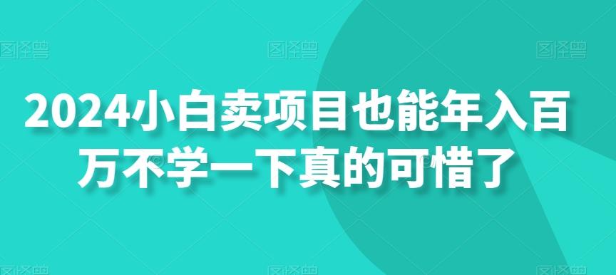 2024小白卖项目也能年入百万不学一下真的可惜了-泱泱学习社