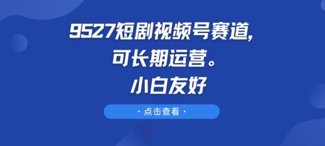 9527短剧视频号赛道，可长期运营，小白友好【揭秘】-泱泱学习社