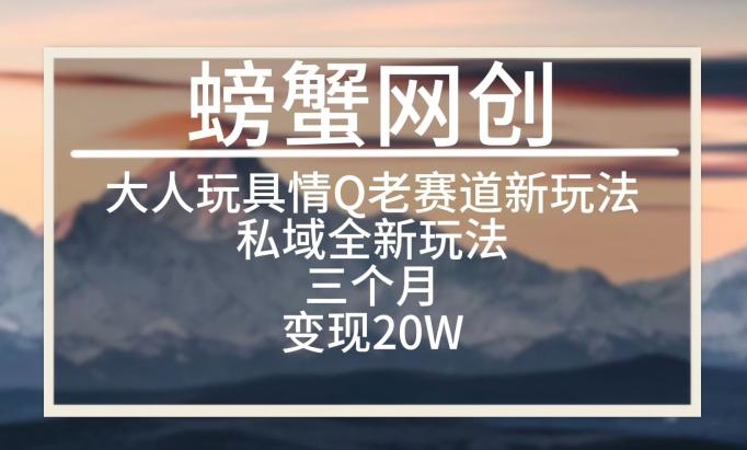 大人玩具情Q用品赛道私域全新玩法，三个月变现20W，老项目新思路【揭秘】-泱泱学习社
