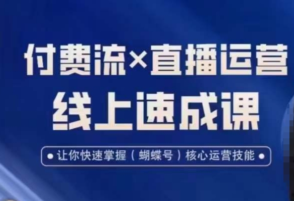 视频号付费流实操课程，付费流✖️直播运营速成课，让你快速掌握视频号核心运营技能-泱泱学习社