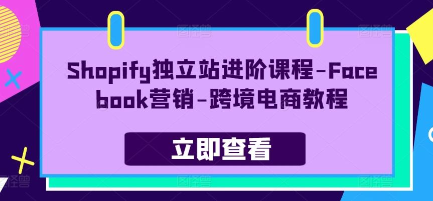 Shopify独立站进阶课程-Facebook营销-跨境电商教程-泱泱学习社