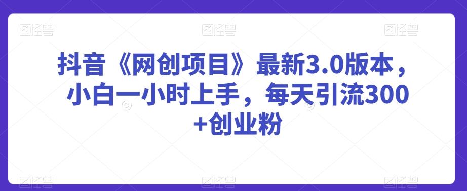 抖音《网创项目》最新3.0版本，小白一小时上手，每天引流300+创业粉【揭秘】-泱泱学习社
