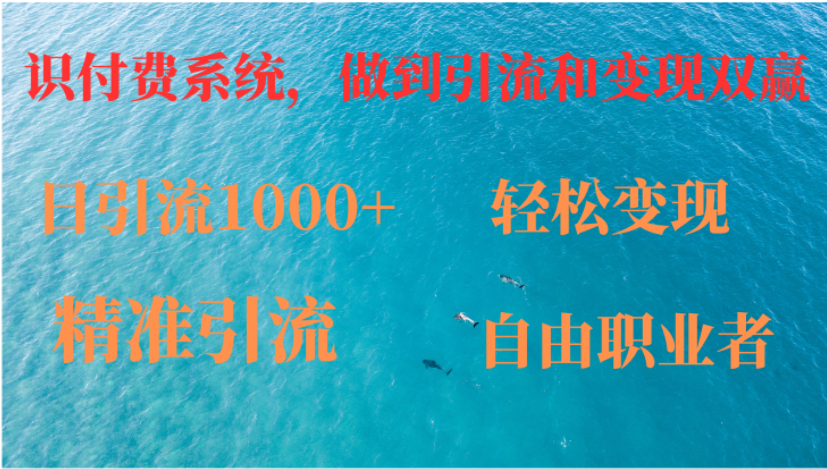 如何搭建自己的知识付费系统，做到引流和变现双赢-泱泱学习社