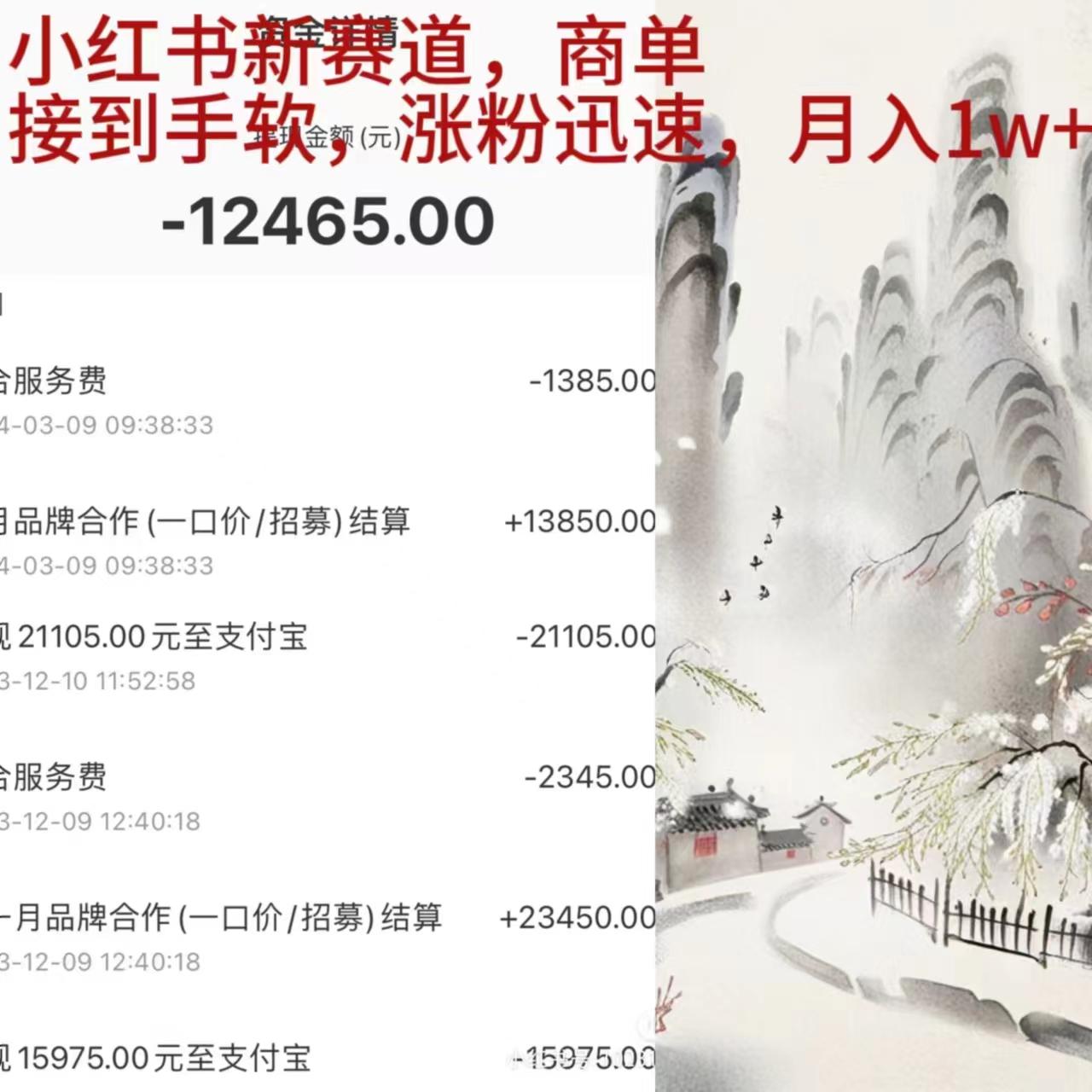 (9476期)小红书新赛道，商单接到手软，涨粉迅速，月入1w+-泱泱学习社
