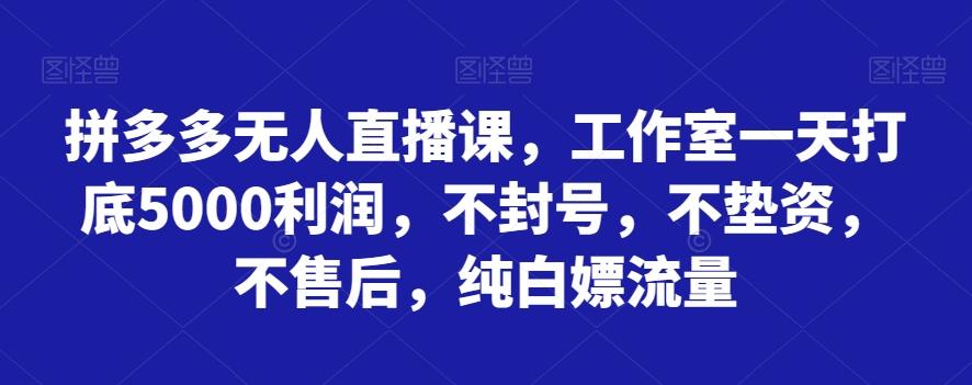 拼多多无人直播课，工作室一天打底5000利润，不封号，不垫资，不售后，纯白嫖流量-泱泱学习社