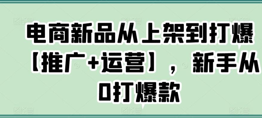 电商新品从上架到打爆【推广+运营】，新手从0打爆款-泱泱学习社