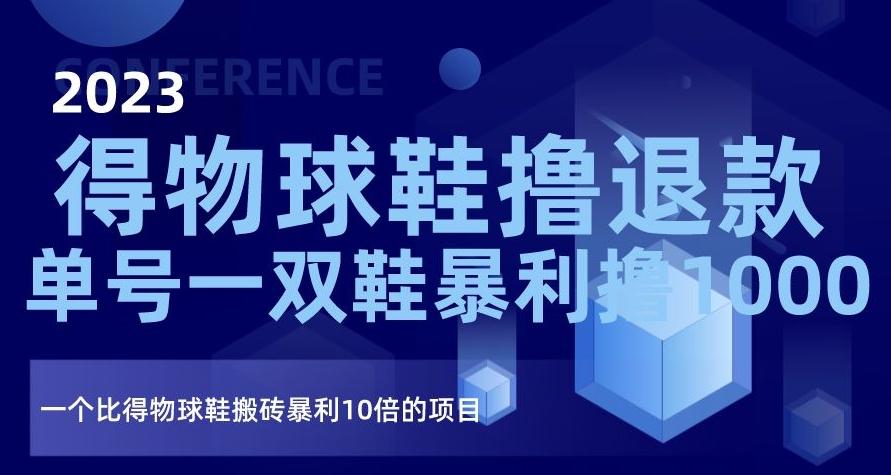 2023得物球鞋撸退款，单号一双鞋暴利撸1000，一个比得物球鞋搬砖暴利10倍的项目【揭秘】-泱泱学习社