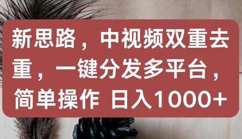 新思路，中视频双重去重，一键分发多平台，简单操作，日入1000+【揭秘】-泱泱学习社