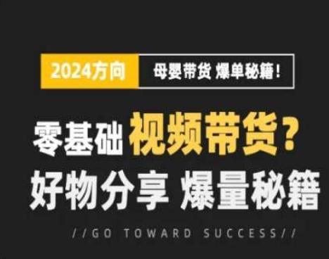 短视频母婴赛道实操流量训练营，零基础视频带货，好物分享，爆量秘籍-泱泱学习社