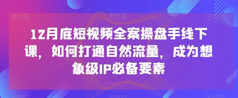12月底短视频全案操盘手线下课，如何打通自然流量，成为想象级IP必备要素-泱泱学习社
