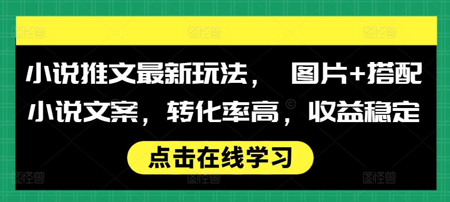 小说推文最新玩法， 图片+搭配小说文案，转化率高，收益稳定-泱泱学习社