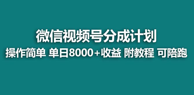 【蓝海项目】视频号分成计划最新玩法，单天收益8000+，附玩法教程，24年…-泱泱学习社