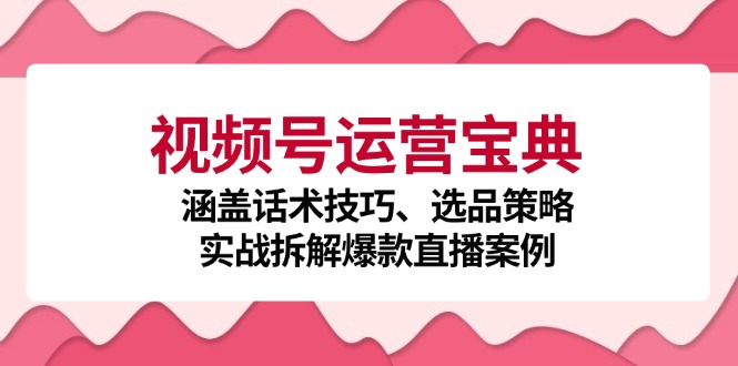 视频号运营宝典：涵盖话术技巧、选品策略、实战拆解爆款直播案例-泱泱学习社