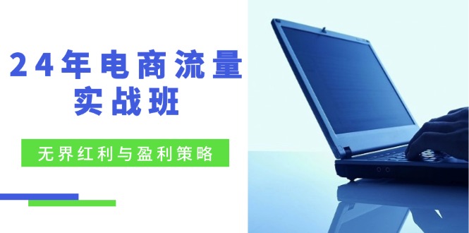 24年电商流量实战班：无界 红利与盈利策略，终极提升/关键词优化/精准…-泱泱学习社