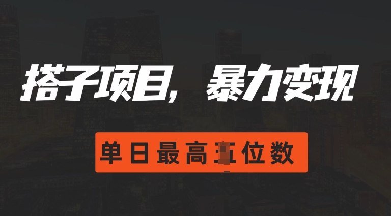 2024搭子玩法，0门槛，暴力变现，单日最高破四位数【揭秘】-泱泱学习社
