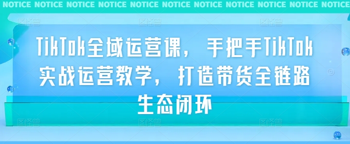 TikTok全域运营课，手把手TikTok实战运营教学，打造带货全链路生态闭环-泱泱学习社